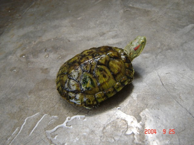 img007_1096092219.jpg