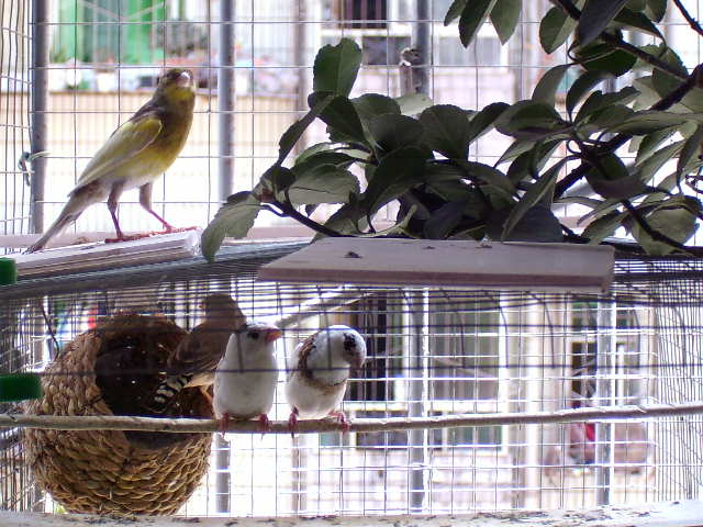3_1120063016.jpg