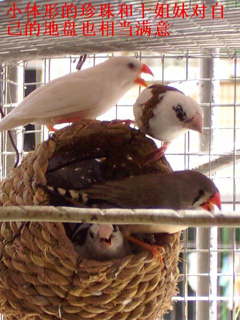 4_1120063086.jpg