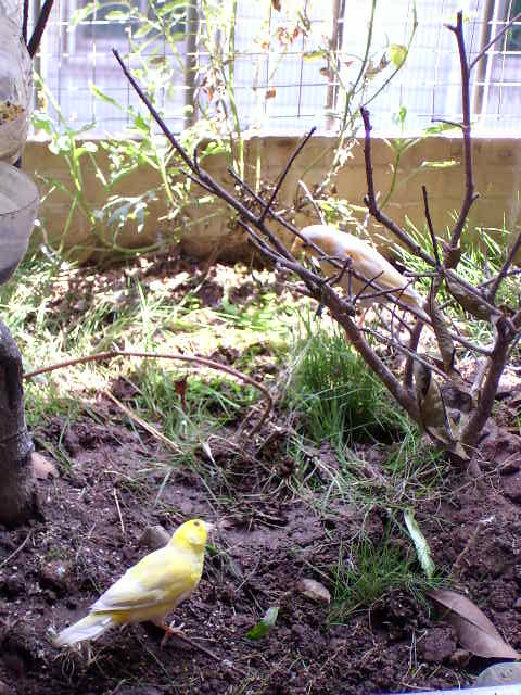 a2_1120063993.jpg