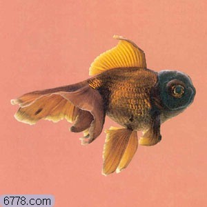D7F6C4D0C8CBD5E6_1106890604.jpg