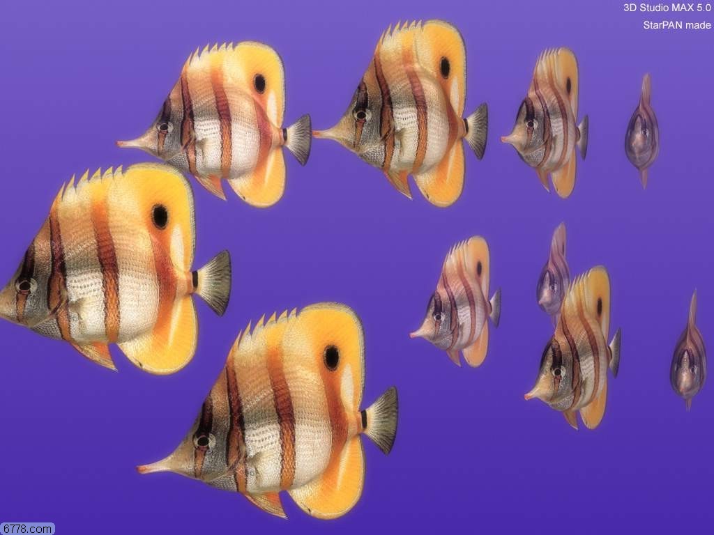 D7F6C4D0C8CBD5E6_1106890729.jpg
