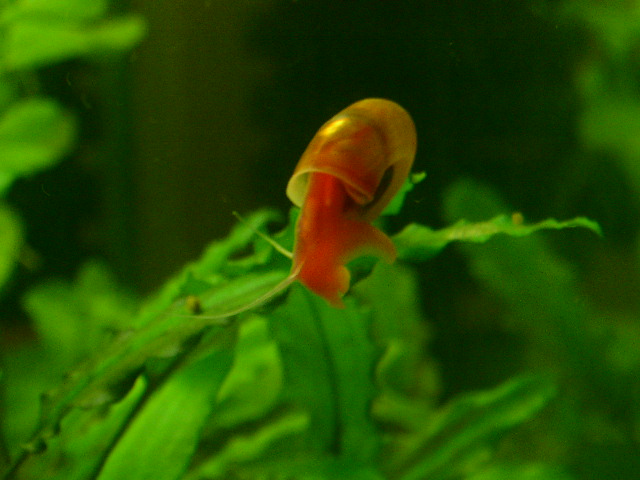 D5D5C6AC20026_1097509292.jpg