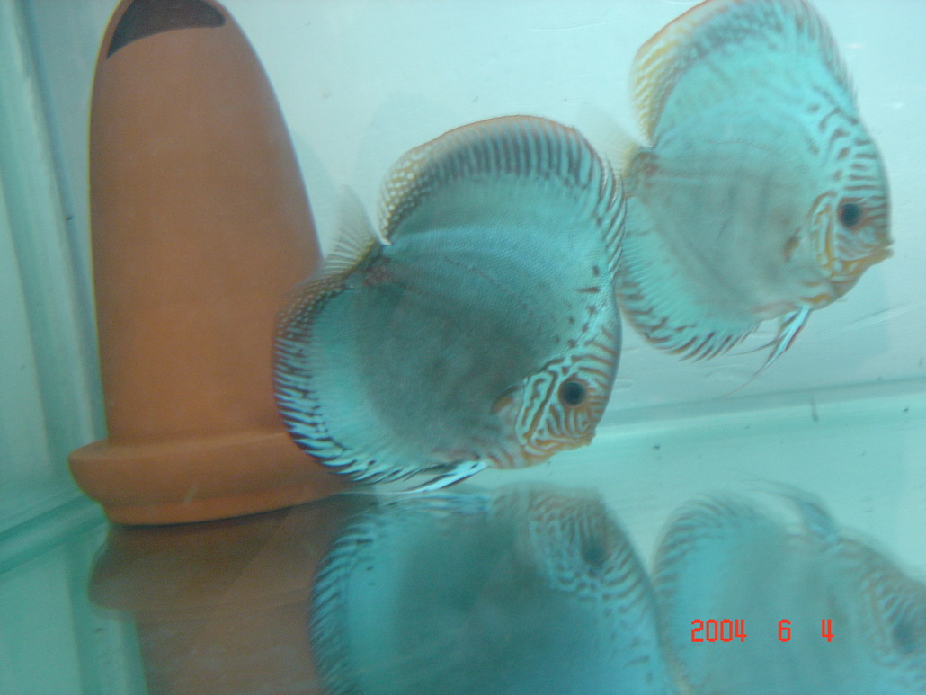 59_15_3.jpg