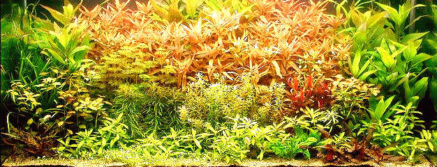 59_26_13.jpg