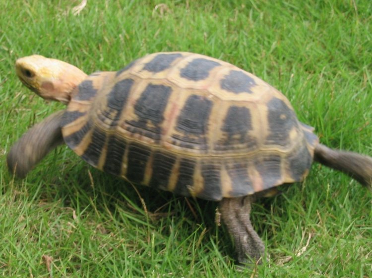 3_1088929719.jpg