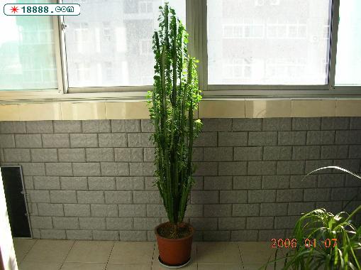 36.JPG
