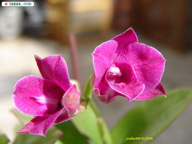 DSC00502 copy.jpg