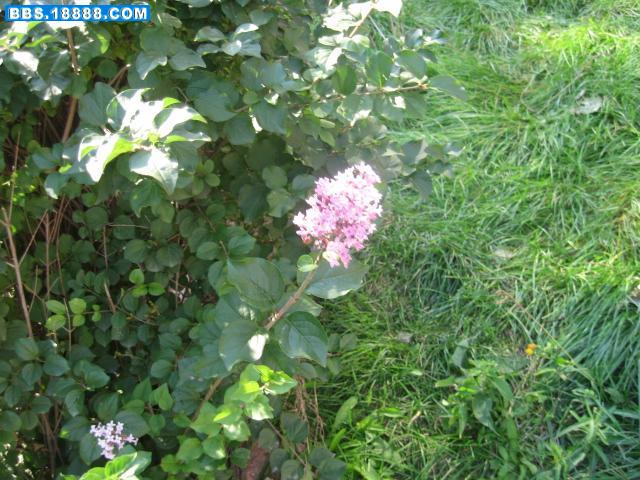 照片 016.jpg