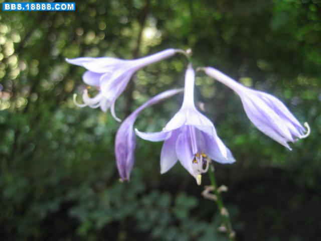 照片 030.jpg