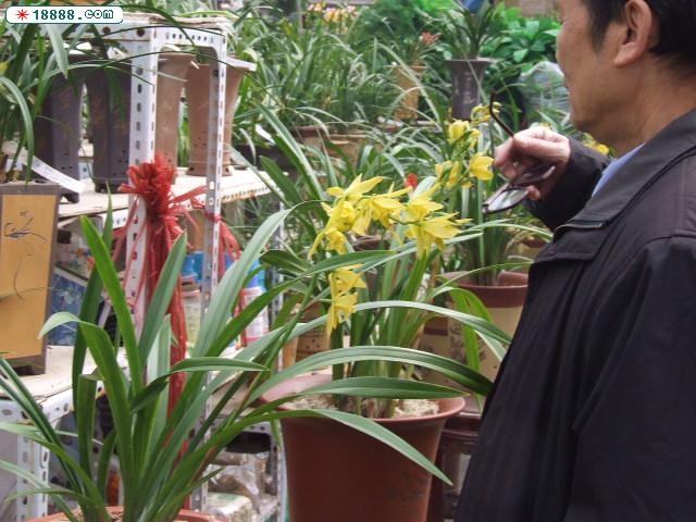 DSCF4152.JPG