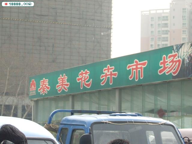 DSCF4178.JPG