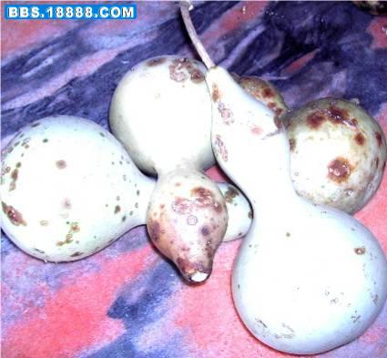 PICT0034.JPG