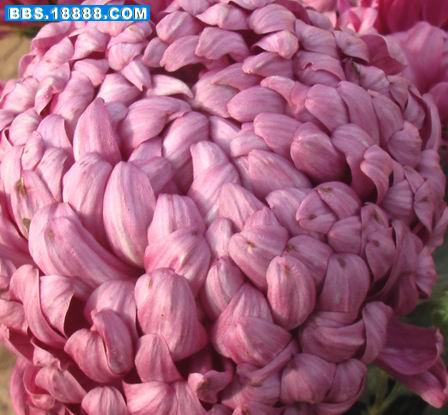 照片 037.jpg