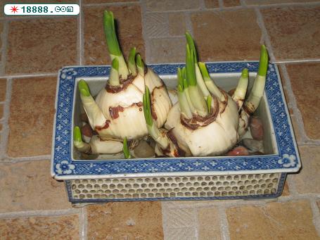 搬家 022.jpg