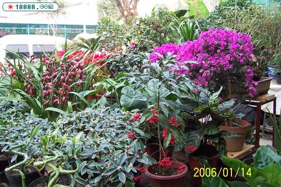 100_2803.jpg