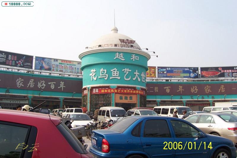 100_2727.jpg