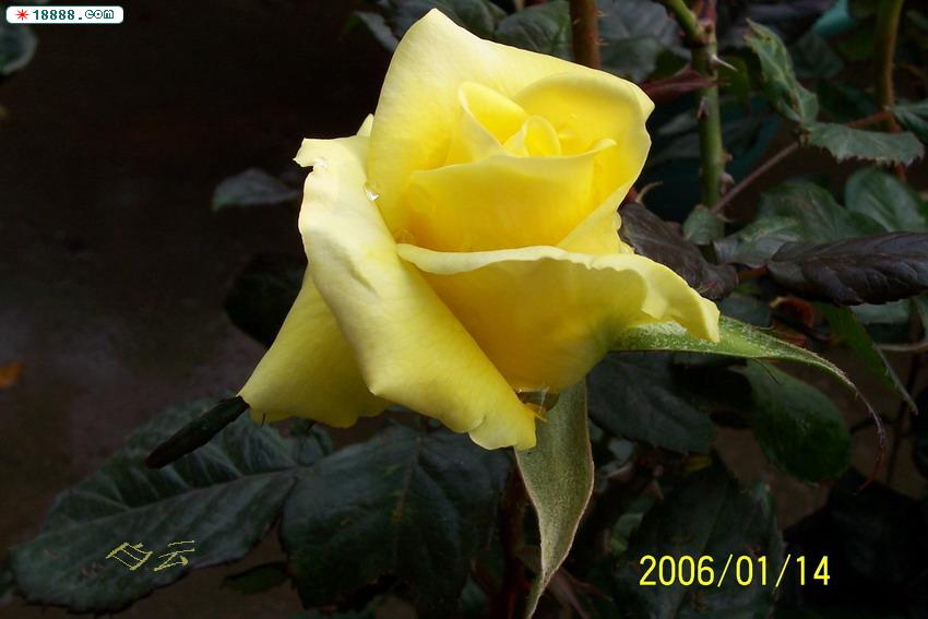 100_2785.jpg