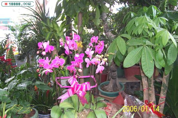 100_2746.jpg