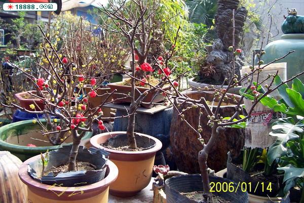 100_2790.jpg