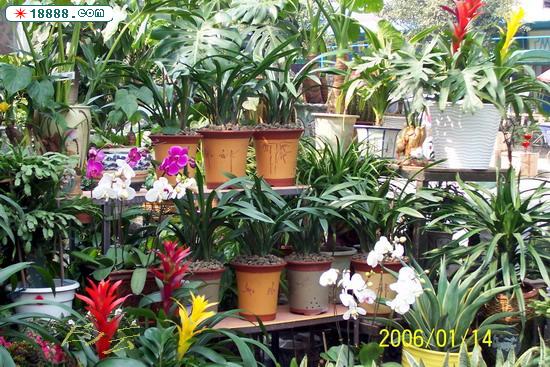 100_2741.jpg