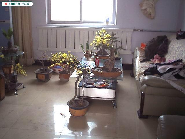 Photo001.JPG