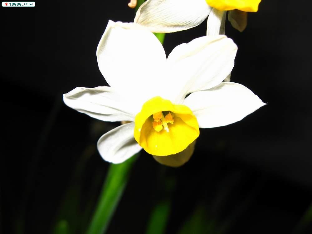 照片 004.jpg