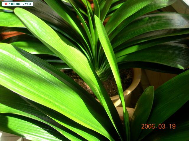 DSCN2613.jpg