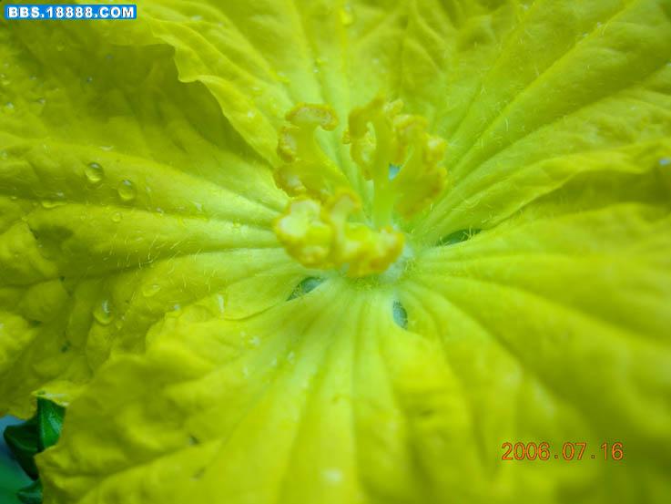 DSCN3139-1.jpg