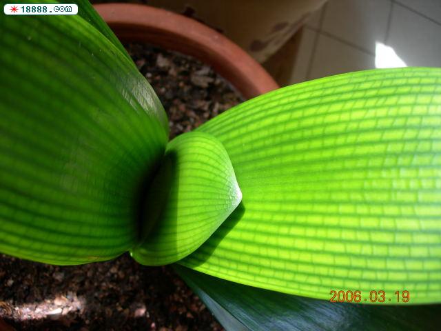 DSCN2611.jpg