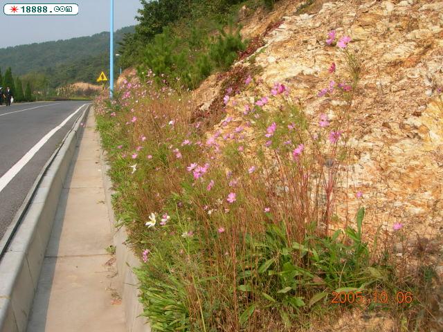 DSCN1073.jpg