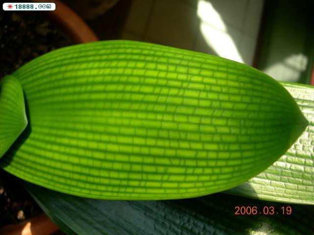 DSCN2610.jpg