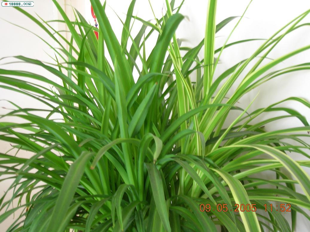 DSCN0109.JPG