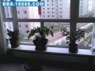 图片0170.jpg