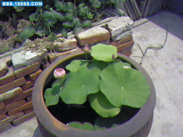 Photo-0046.jpg