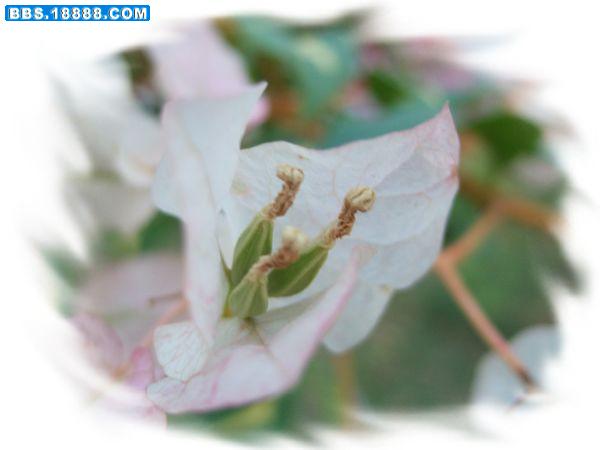 DSCF1143.jpg