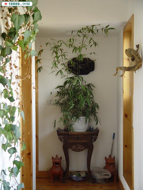 DSC00080.JPG