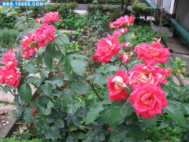 照片 074.jpg