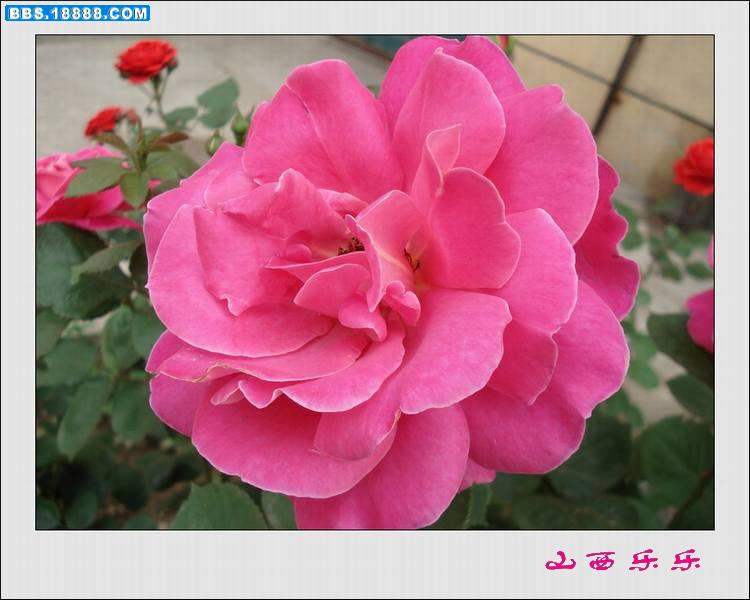 DSC00769.jpg
