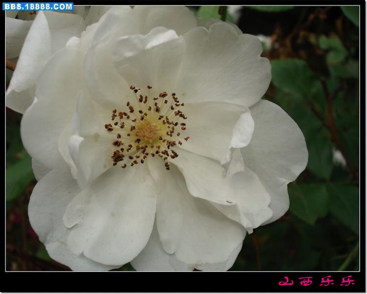 DSC00702.jpg