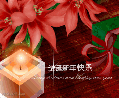 20061225984956658.gif