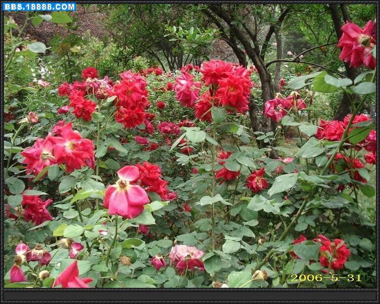 DSC00698.jpg