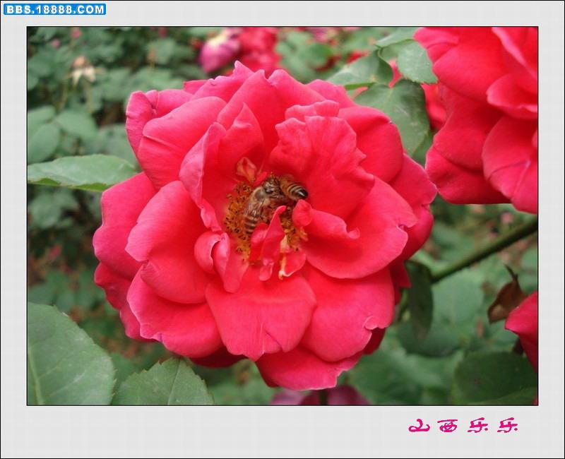 DSC00669.jpg