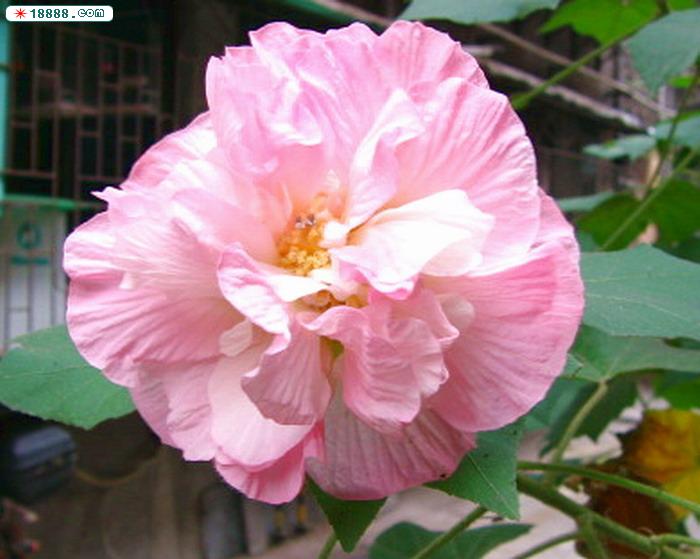 照片 025.jpg