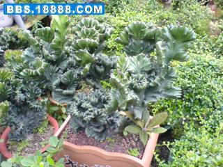 DSC01467.JPG