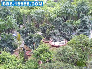 DSC01468.JPG