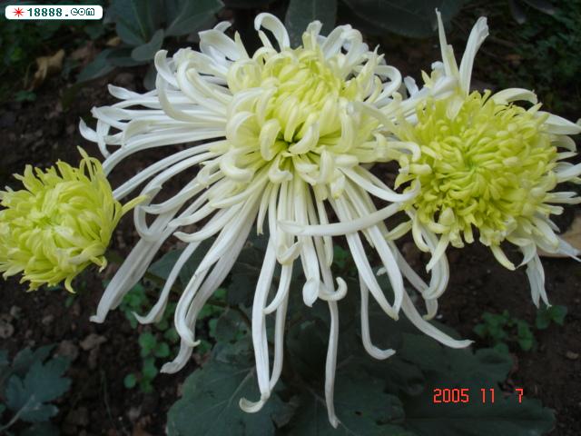 DSC02936.JPG