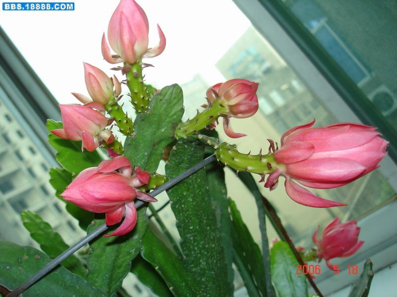 DSC05227.jpg