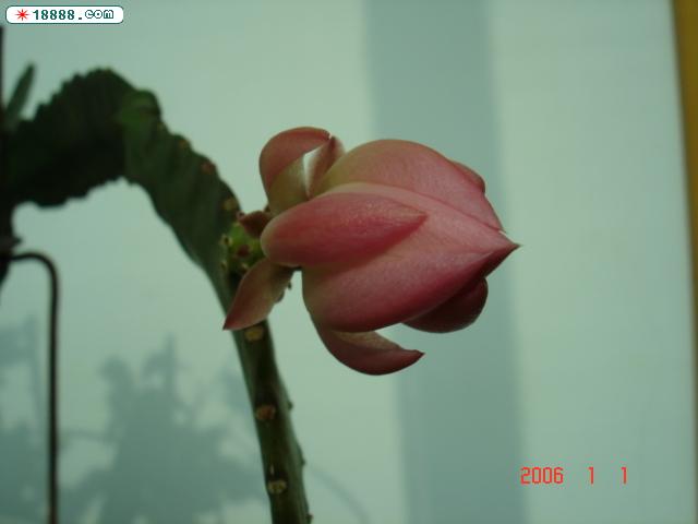 DSC03457.JPG