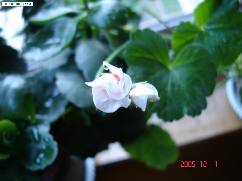 DSC03289.jpg
